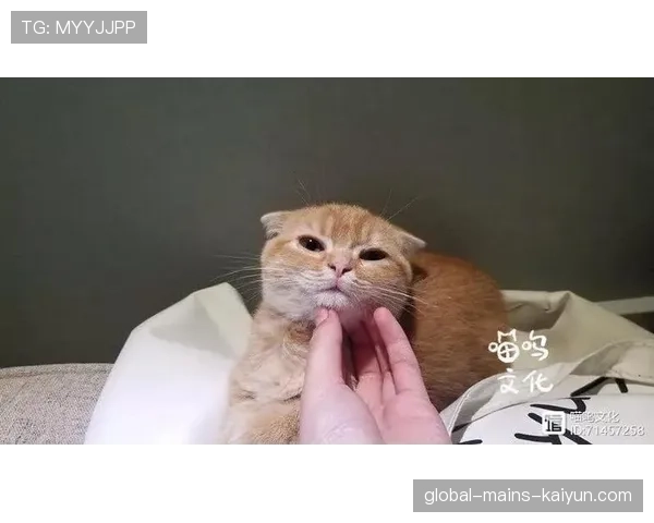 [选手名]分享日常生活：原来职业选手在不练枪的时候也喜欢玩铲屎官😂